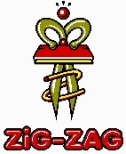 ZIG ZAG INTERNACIONAL